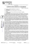Vista preliminar de documento ACM24N016