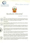 Vista preliminar de documento RD N° 001-01-2021-HCLLH-SA