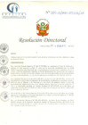 Vista preliminar de documento RD N° 004-01-2021-HCLLH-SA
