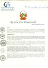 Vista preliminar de documento RD N° 005-01-2021-HCLLH-SA