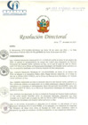 Vista preliminar de documento RD N° 007-01-2021-HCLLH-SA