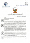 Vista preliminar de documento RD N° 12-02-2021-HCLLH-SA