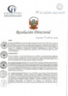 Vista preliminar de documento RD N° 17-02-2021-HCLLH-SA