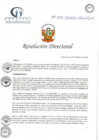 Vista preliminar de documento RD N° 28-03-2021-HCLLH-SA