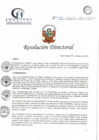 Vista preliminar de documento RD N° 30-03-2021-HCLLH-SA