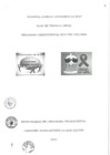 Vista preliminar de documento PLAN DE TRABAJO ANUAL PROGRAMA PRESUPUESTAL TBC-VIH-SIDA