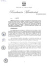 Vista preliminar de documento RM-029-2024-MINEM-DM