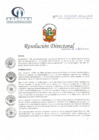 Vista preliminar de documento RD N° 51-04-2021-HCLLH-SA
