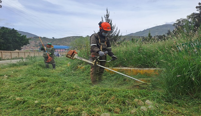 Mantenimiento de áreas verdes