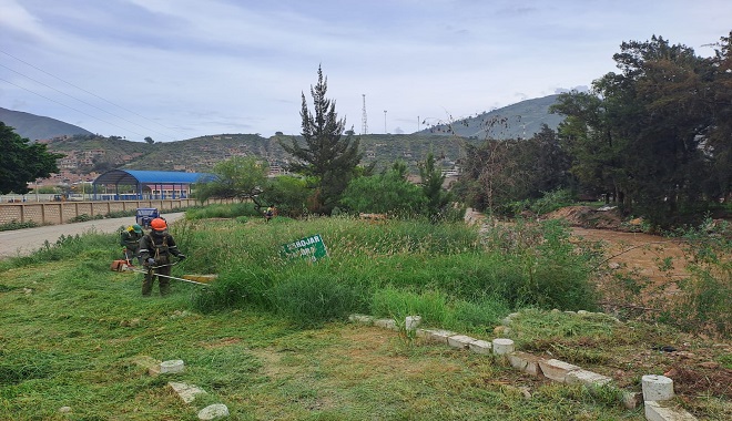 Mantenimiento de áreas verdes