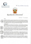 Vista preliminar de documento RD N° 55-04-2021-HCLLH-SA