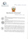 Vista preliminar de documento RD N° 60-04-2021-HCLLH-SA