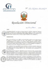 Vista preliminar de documento RD N° 63-04-2021-HCLLH-SA