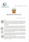 Vista preliminar de documento RD N° 69-05-2021-HCLLH-SA