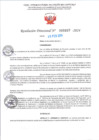Vista preliminar de documento RD Nº000207 05-02-202420240207
