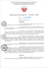 Vista preliminar de documento RD Nº000209 05-02-202420240207