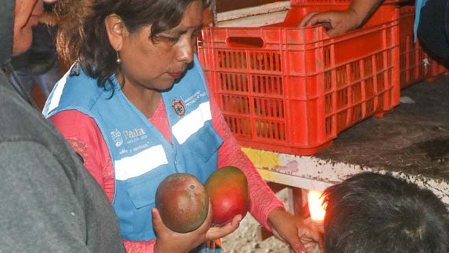 Compartiendo esperanza: Donación de más de tres toneladas de frutas para familias necesitadas en Paita