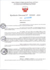 Vista preliminar de documento RD Nº000224 05-02-202420240207