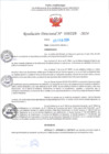 Vista preliminar de documento RD Nº000229 05-02-202420240207