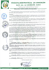 Vista preliminar de documento RGM-115-2024-GM-MPLC