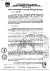 Vista preliminar de documento RGR012-2024-GRDS