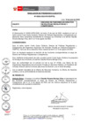Vista preliminar de documento N° 013-2021-PD/OSIPTEL