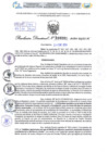 Vista preliminar de documento Resolución Directoral. N° 0231 - 2024 