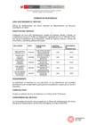 Vista preliminar de documento TDR PUBLICIÓN PERUANO 5 SERV