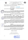 Vista preliminar de documento RD Nº000133 02-02-202420240207