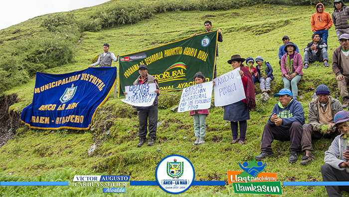 Jornada de plantaci贸n de pinos