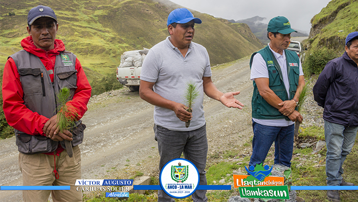 Jornada de plantaci贸n de pinos