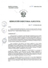 Vista preliminar de documento R.D.E Nº025-2024-OEA-HNAL