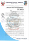 Vista preliminar de documento RESOLUCION GERENCIAL N° 1 - 2024 - MDI - GM