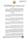 Vista preliminar de documento RGR N° 22 2024 GRLL GGR GRI