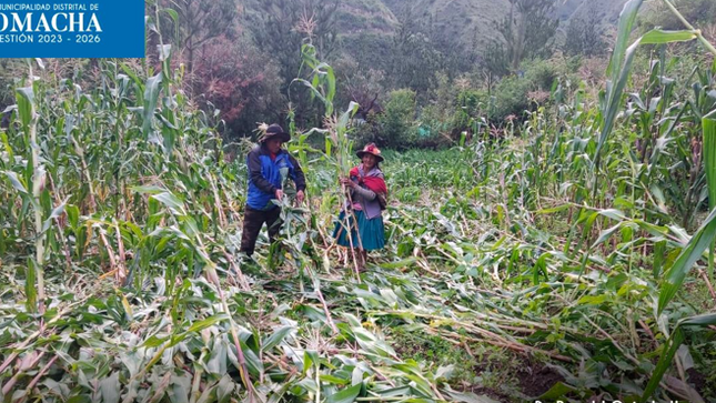 chacras malogradas por fenómeno natural