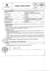 Vista preliminar de documento FORMATO PERFIL DE PUESTO - PROCESO N°10