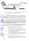 Vista preliminar de documento R.D 01911-2023