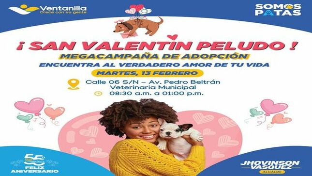  ¡Celebra el amor en todas sus formas este San Valentín!  ¿Estás buscando a tu compañero peludo ideal? Entonces no te pierdas nuestra megacampaña de adopción este martes 13 de febrero en la Veterinaria Municipal, ubicada en la Av. Pedro Beltrán, gracias al compromiso de nuestro alcalde 𝐉𝐡𝐨𝐯𝐢𝐧𝐬𝐨𝐧 𝐕𝐚𝐬𝐪𝐮𝐞𝐳. 
¡Ven y encuentra a tu nuevo mejor amigo de cuatro patas! 
