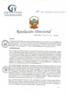Vista preliminar de documento RD N° 79-05-2021-HCLLH-SA