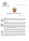 Vista preliminar de documento RD N° 80-05-2021-HCLLH-SA