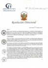 Vista preliminar de documento RD N° 85-05-2021-HCLLH-SA