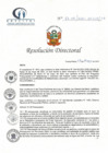 Vista preliminar de documento RD N° 87-05-2021-HCLLH-SA