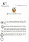 Vista preliminar de documento RD N° 100-06-2021-HCLLH-SA