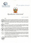 Vista preliminar de documento RD N° 102-06-2021-HCLLH-SA