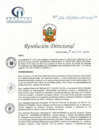 Vista preliminar de documento RD N° 103-06-2021-HCLLH-SA