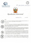 Vista preliminar de documento RD N° 115-07-2021-HCLLH-SA