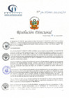 Vista preliminar de documento RD N° 116-07-2021-HCLLH-SA