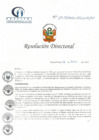 Vista preliminar de documento RD N° 119-07-2021-HCLLH-SA