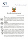 Vista preliminar de documento RD N° 125-07-2021-HCLLH-SA