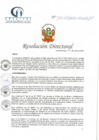 Vista preliminar de documento RD N° 127-07-2021-HCLLH-SA